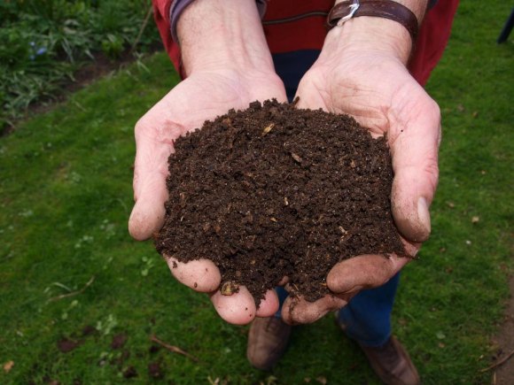Farmers Market Is Back But Not Composting Farmers Market Is Back But Not Composting